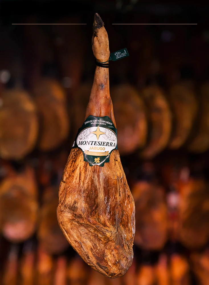 Comprar Jamón De Cebo Ibérico 50% Raza ibérica Rivera 7-7,5 kgs + jamonero  - Jabugo, Extremadura, Guijuelo